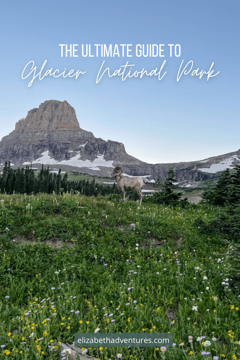 Glacier National Park: The Ultimate Guide To Exploring The Park ...