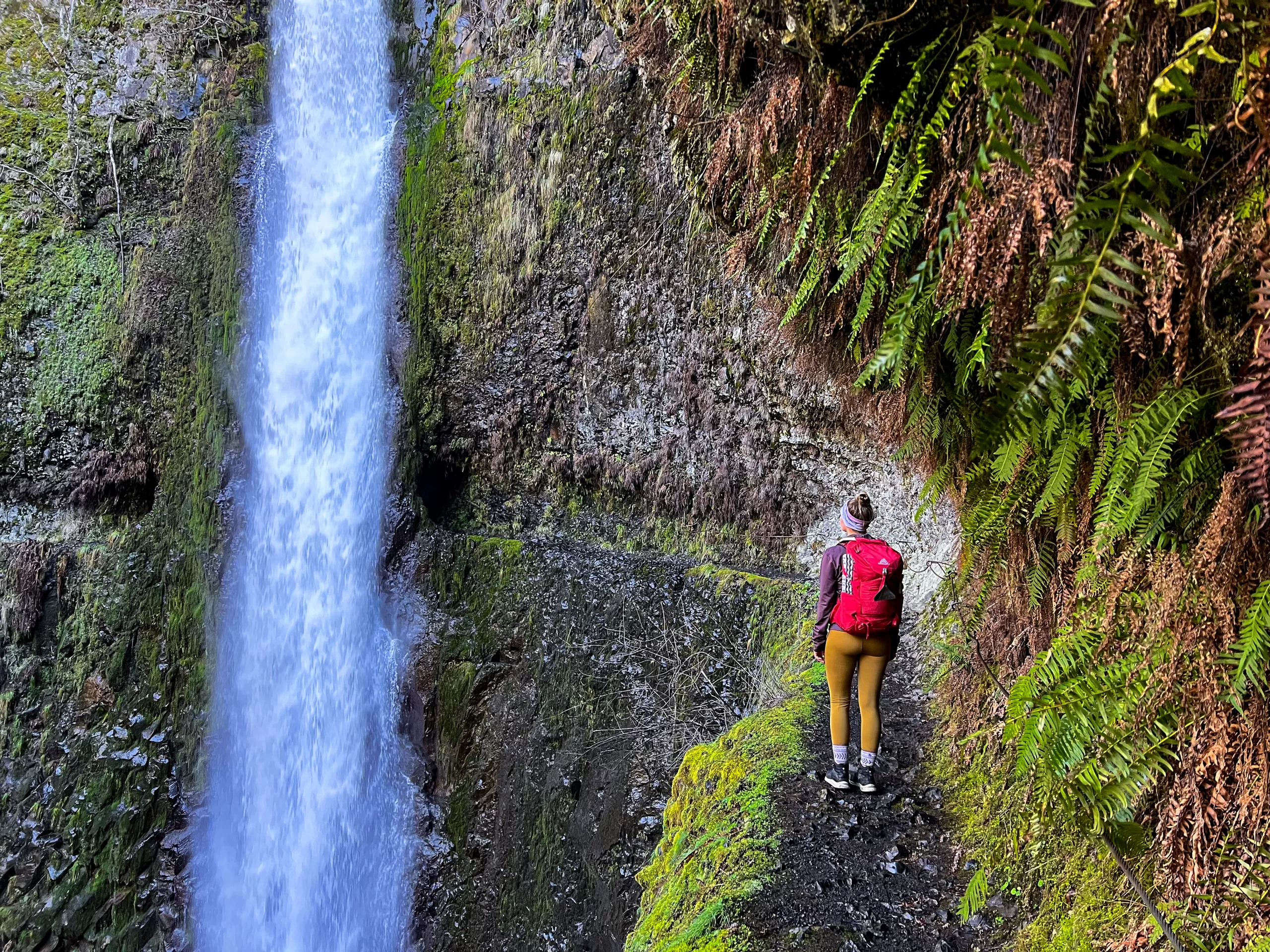 What you need to know before hiking the reopened Eagle Creek Trail 